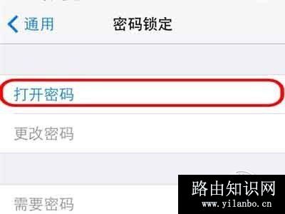 iPhone如何设置开机密码