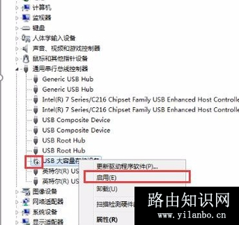 u盘插入电脑不显示