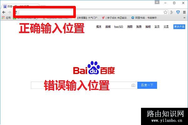 浏览器中正确的输入位置