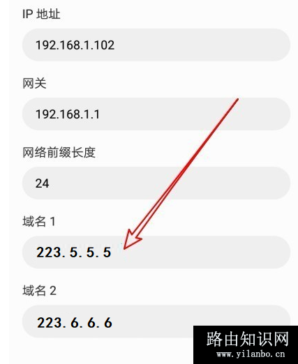 DNS设置