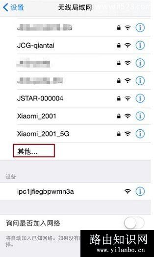 打开iPhone手机中 无线局域网 设置下的 其它选项